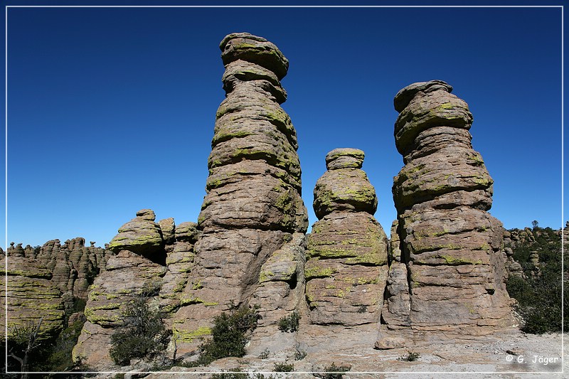 chiricahua_nm_2006_37.jpg