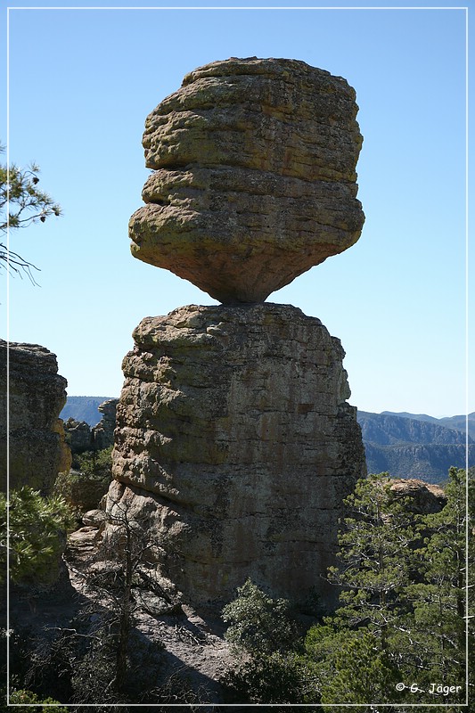 chiricahua_nm_2006_38.jpg