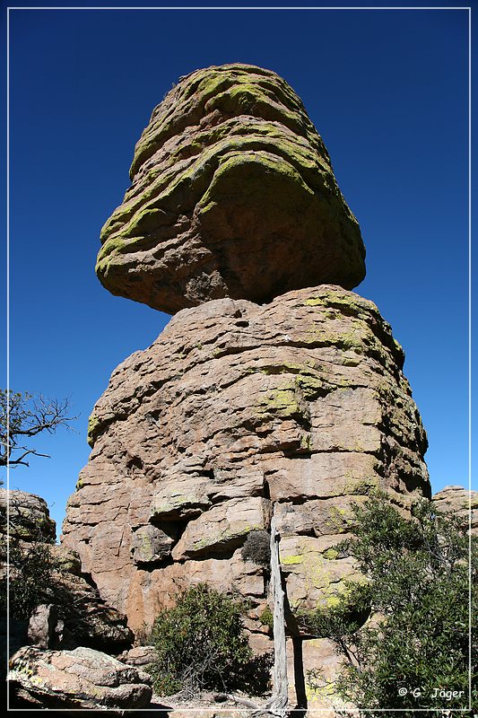 chiricahua_nm_2006_39.jpg