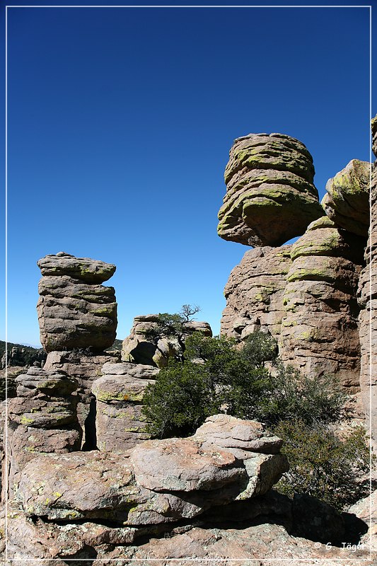 chiricahua_nm_2006_41.jpg