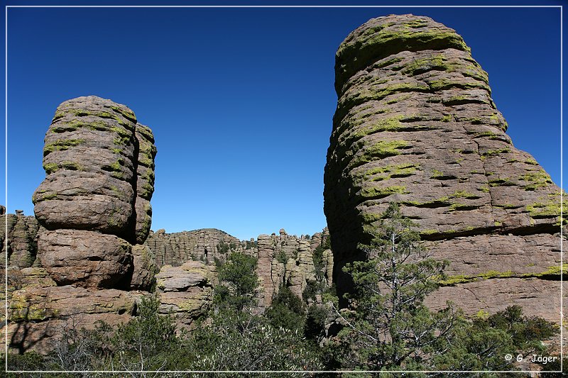 chiricahua_nm_2006_43.jpg