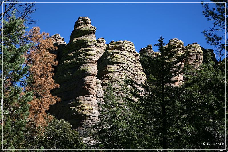 chiricahua_nm_2006_45.jpg