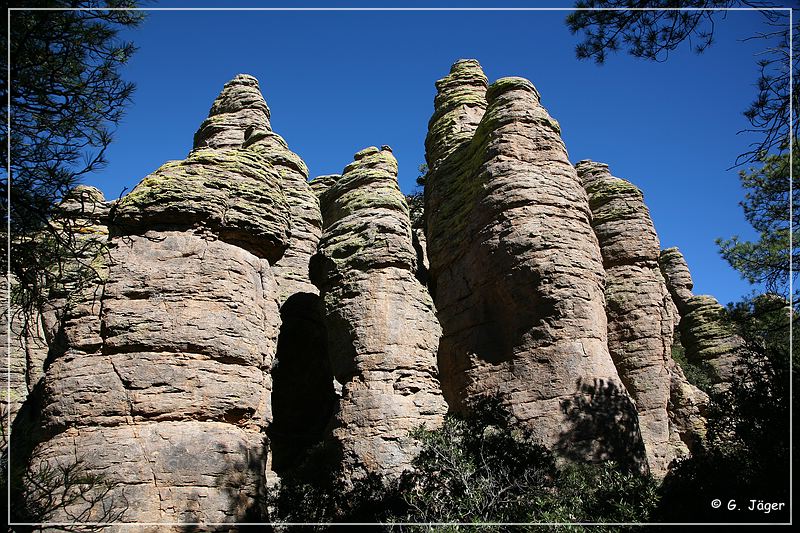 chiricahua_nm_2006_46.jpg