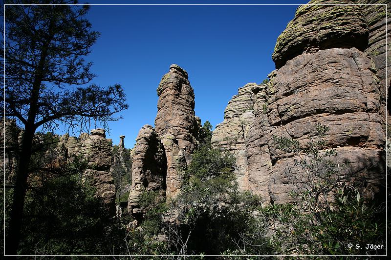 chiricahua_nm_2006_47.jpg