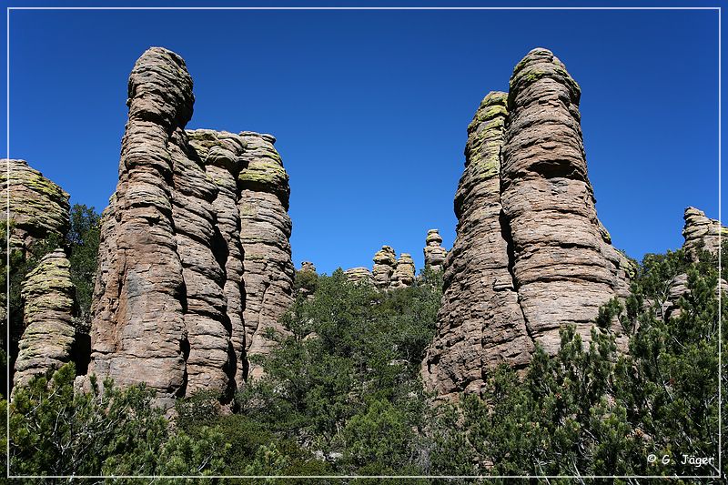 chiricahua_nm_2006_48.jpg