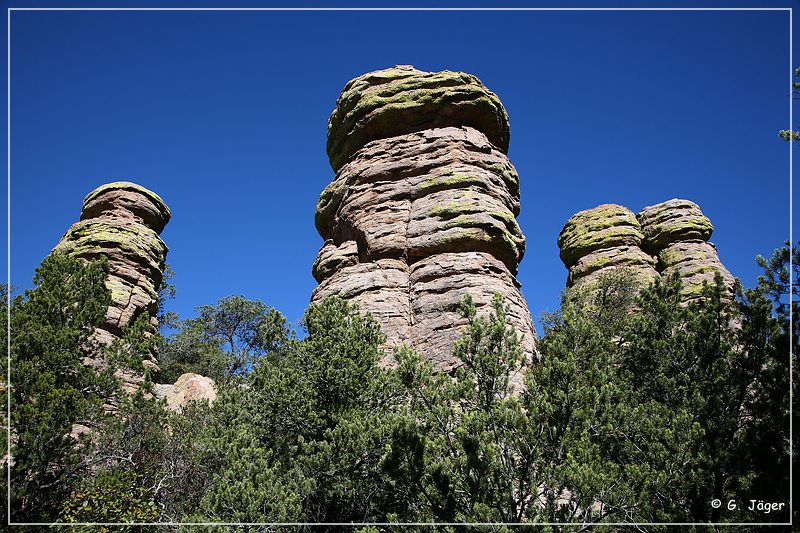 chiricahua_nm_2006_50.jpg