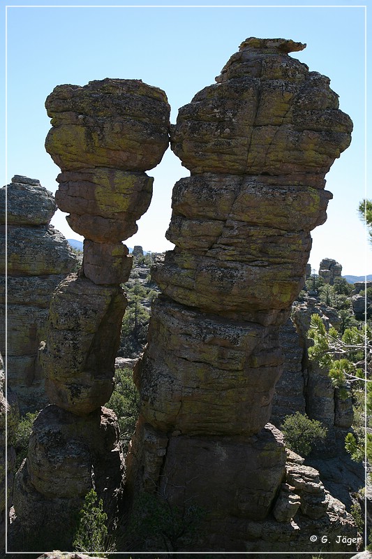 chiricahua_nm_2006_51.jpg