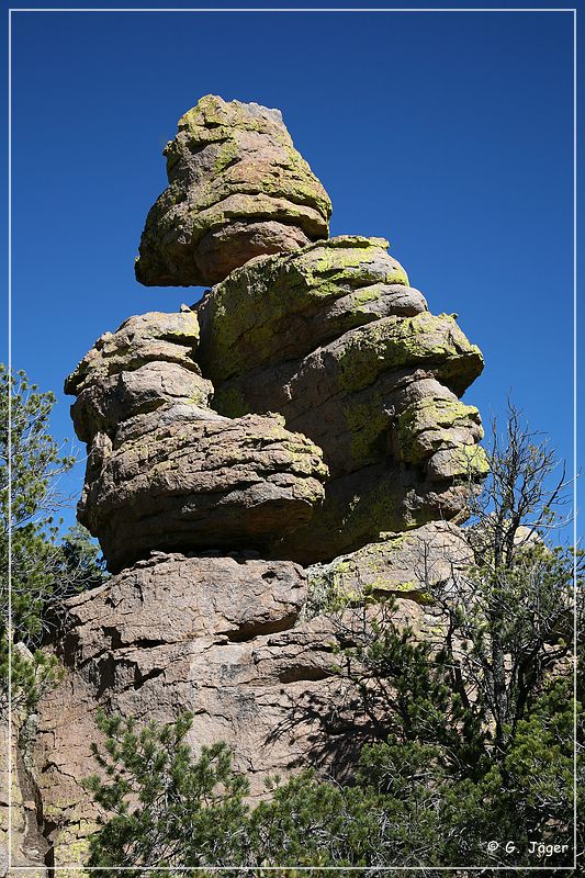 chiricahua_nm_2006_52.jpg