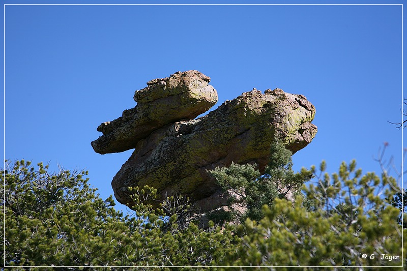 chiricahua_nm_2006_53.jpg