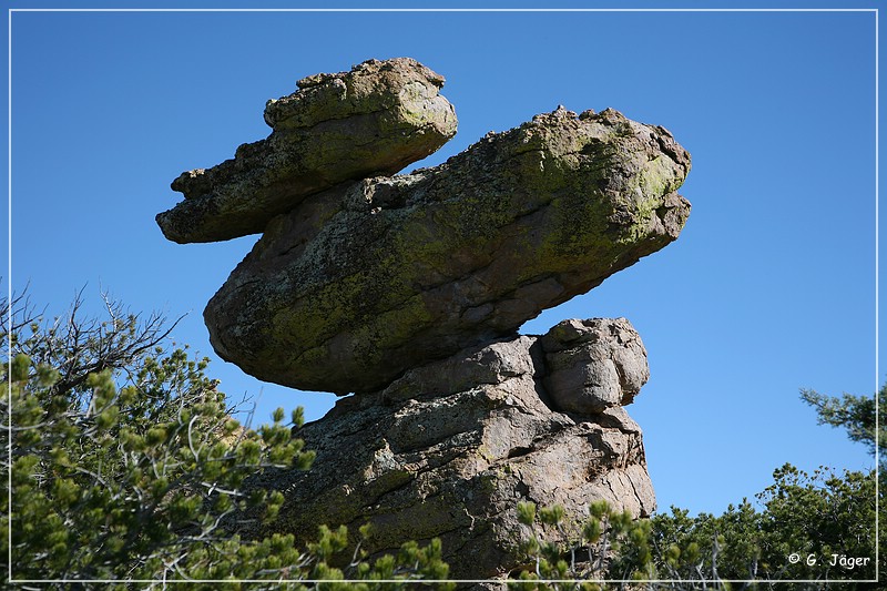 chiricahua_nm_2006_54.jpg