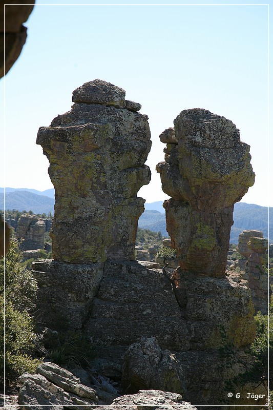 chiricahua_nm_2006_57.jpg