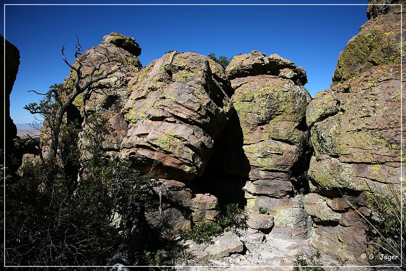 chiricahua_nm_2006_58.jpg