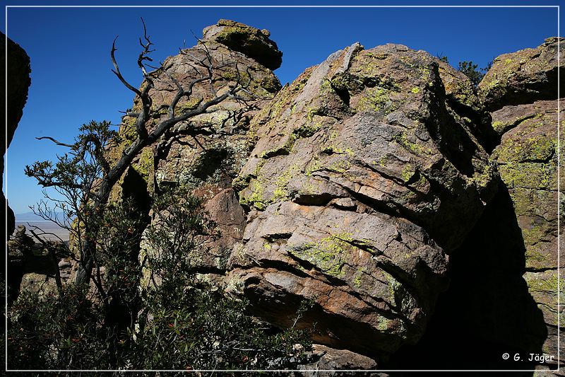 chiricahua_nm_2006_59.jpg