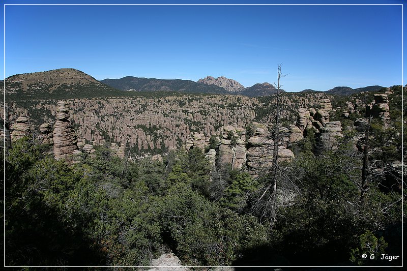 chiricahua_nm_2006_60.jpg