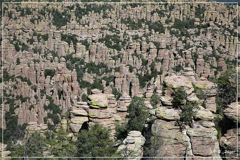 chiricahua_nm_2006_61.jpg