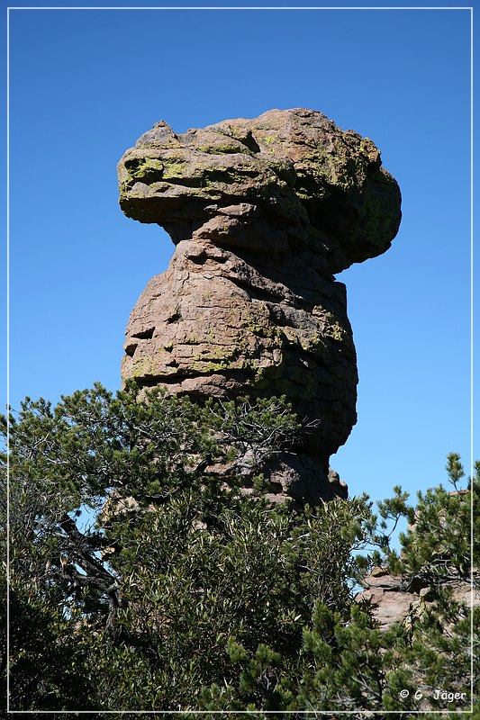 chiricahua_nm_2006_62.jpg