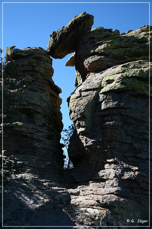 chiricahua_nm_2006_63.jpg