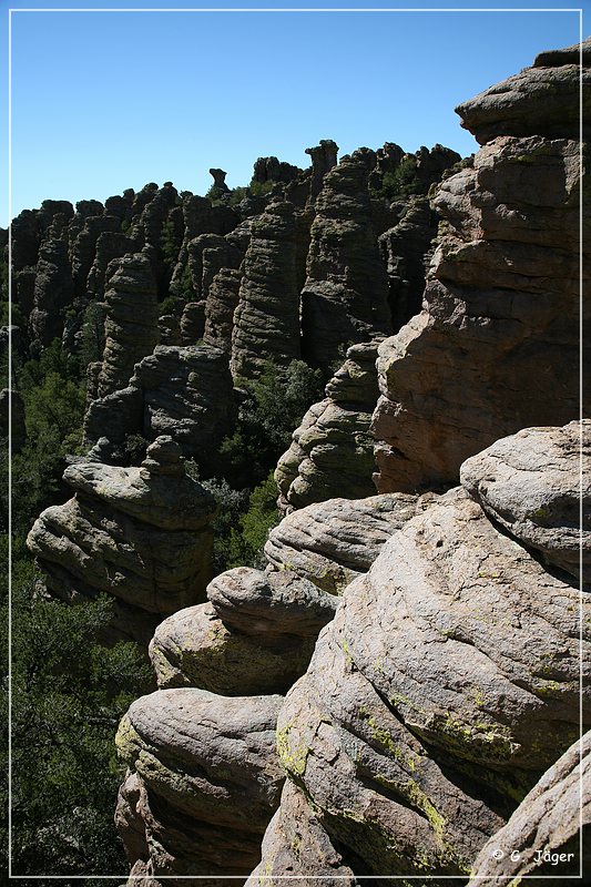 chiricahua_nm_2006_64.jpg