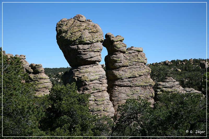 chiricahua_nm_2006_66.jpg