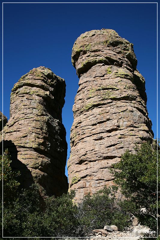 chiricahua_nm_2006_69.jpg