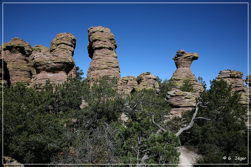 chiricahua_nm_2006_70.jpg