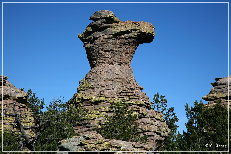 chiricahua_nm_2006_71.jpg