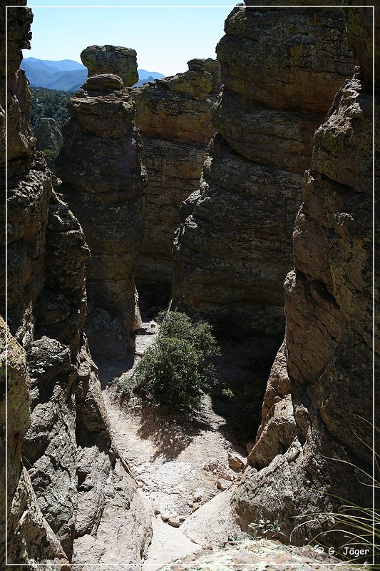 chiricahua_nm_2006_72.jpg