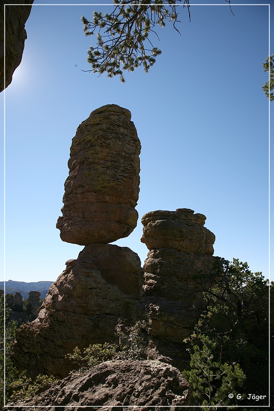 chiricahua_nm_2006_76.jpg