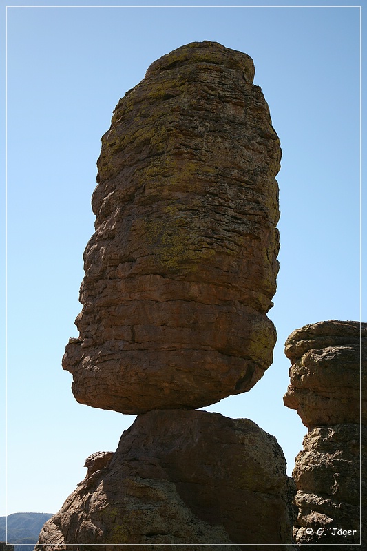 chiricahua_nm_2006_77.jpg