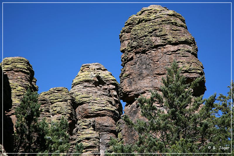 chiricahua_nm_2006_78.jpg