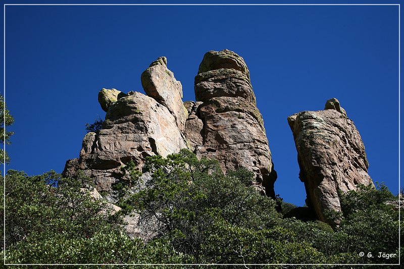 chiricahua_nm_2006_82.jpg