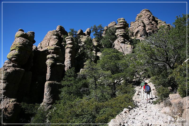 chiricahua_nm_2006_83.jpg