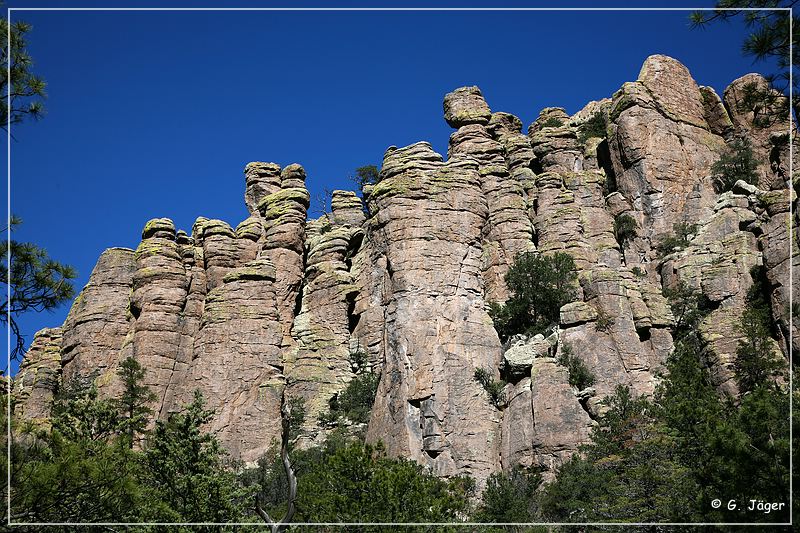 chiricahua_nm_2006_84.jpg