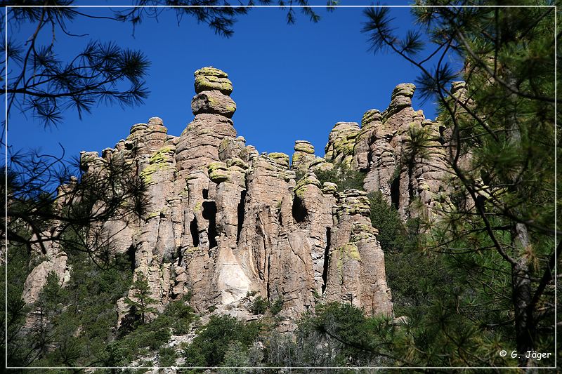 chiricahua_nm_2006_85.jpg