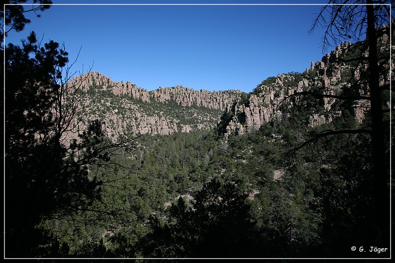 chiricahua_nm_2006_89.jpg