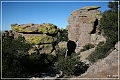 chiricahua_nm_2006_03