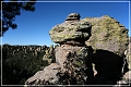 chiricahua_nm_2006_04