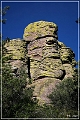 chiricahua_nm_2006_05