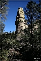 chiricahua_nm_2006_06