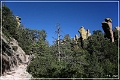 chiricahua_nm_2006_08