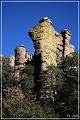 chiricahua_nm_2006_09