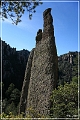 chiricahua_nm_2006_12