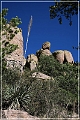 chiricahua_nm_2006_14