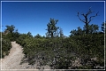 chiricahua_nm_2006_20