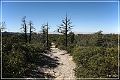 chiricahua_nm_2006_24