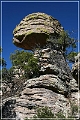 chiricahua_nm_2006_26