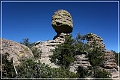 chiricahua_nm_2006_28