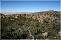 chiricahua_nm_2006_31