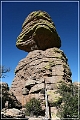 chiricahua_nm_2006_39