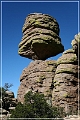 chiricahua_nm_2006_40